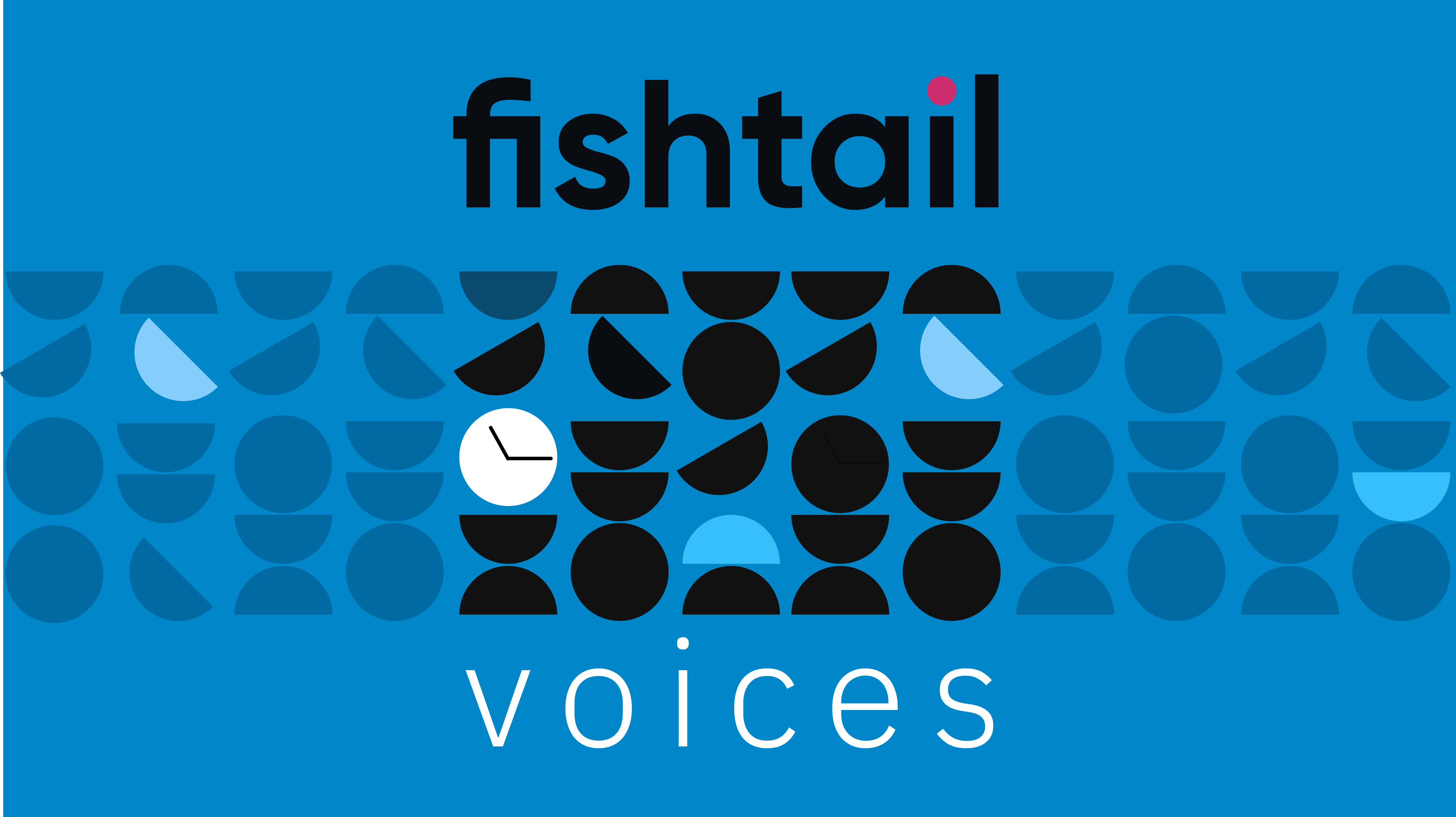 fishtail voices - cover for the videos